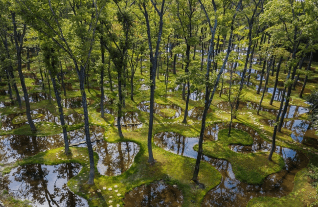 アートビオトープ那須　水庭 by 石上純也